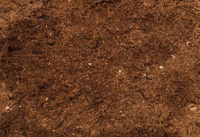 Terra para grama — foto do material
